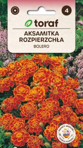 Aksamitka rozpierzchła BOLERO Nasiona Kwiatów + TABLICZKI do opisu