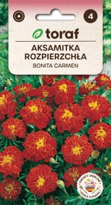 Aksamitka rozpierzchła BONITA CARMEN Nasiona Kwiatów + TABLICZKI do opisu