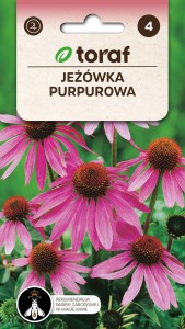 Jeżówka purpurowa Nasiona Kwiatów + TABLICZKI do opisu