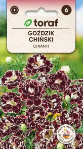 Goździk chiński CHIANTI Nasiona Kwiatów + TABLICZKI do opisu