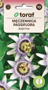 Męczennica passiflora błękitna Nasiona Kwiatów + TABLICZKI do opisu