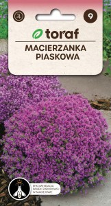 Macierzanka piaskowa Nasiona Kwiatów + TABLICZKI do opisu