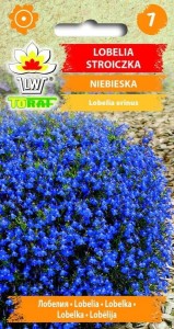Lobelia stroiczka niebieska Nasiona Kwiatów + TABLICZKI do opisu