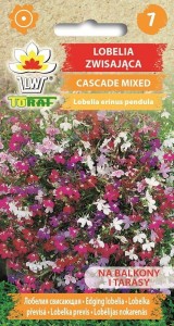 Lobelia zwisająca CASCADE MIXED Nasiona Kwiatów + TABLICZKI do opisu