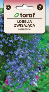 Lobelia zwisająca niebieska Nasiona Kwiatów + TABLICZKI do opisu