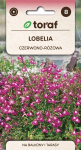 Lobelia czerwono-różowa Nasiona Kwiatów + TABLICZKI do opisu