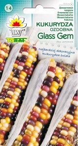 Kukurydza ozdobna GLASS GEM Nasiona Kwiatów + TABLICZKI do opisywania