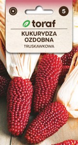 Kukurydza ozdobna TRUSKAWKOWA Nasiona Kwiatów + TABLICZKI do opisywania