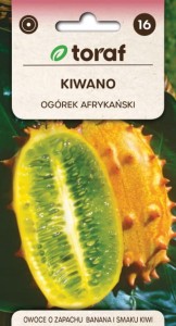 Kiwano OGÓREK AFRYKAŃSKI Nasiona Kwiatów + TABLICZKI do opisywania roślin