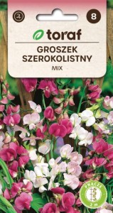 GROSZEK SZEROKOLISTNY WSPANIAŁE OZDOBNE PNĄCZE Nasiona Kwiatów + TABLICZKI