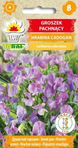 Groszek pachnący HRABINA CADOGAN Nasiona Kwiatów + TABLICZKI do opisu