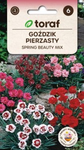 Goździk pierzasty SPRING BEAUTY MIX Nasiona Kwiatów + TABLICZKI
