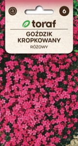 Goździk ogrodowy SZABO Nasiona Kwiatów + TABLICZKI