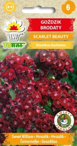 d85123b3f5fd830fcca99545dd502052.jpg