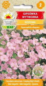 Gipsówka wytworna różowa Nasiona Kwiatów + TABLICZKI