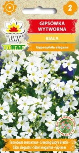 Gipsówka wytworna biała Nasiona Kwiatów + TABLICZKI