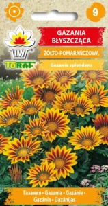 Gazania błyszcząca żółto-pomarańczowa Nasiona Kwiatów + TABLICZKI