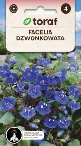 Facelia dzwonkowata Nasiona Kwiatów + TABLICZKI do opisywania