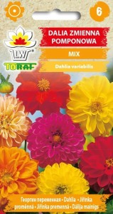 Dalia zmienna pomponowa MIX Nasiona Kwiatów + TABLICZKI