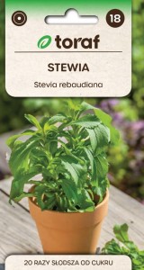 STEWIA Nasiona NATURALNY CUKIER + TABLICZKI do opisywania roślin