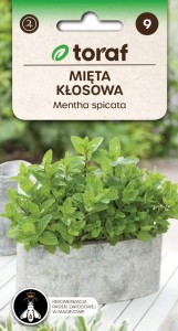 Mięta KŁOSOWA Nasiona Ziół + TABLICZKI do opisywania roślin