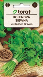 Kolendra siewna Nasiona ZIÓŁ + TABLICZKI do opisywania roślin