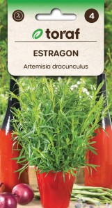 ESTRAGON Nasiona ZIÓŁ + TABLICZKI do opisywania roślin