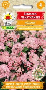 Żeniszek meksykański różowy Nasiona KWIATÓW+TABLICZKI do opisywania roślin