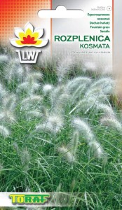Trawa Rozplenica kosmata Nasiona TRAW + TABLICZKI do opisywania roślin