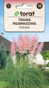 Trawa PAMPASOWA Różowa Nasiona TRAW TRAWA +TABLICZKI do opisywania roślin