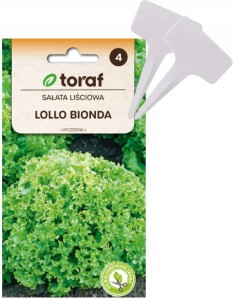 Sałata liściowa LOLLO BIONDA Nasiona + TABLICZKI do opisywania
