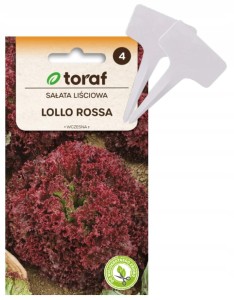 Sałata liściowa Lollo Rossa (wczesna)nasiona+ TABLICZKI do opisywania