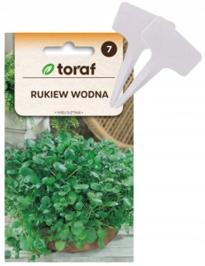 Nasiona RUKIEW wodna wieloletnia+ TABLICZKI do opisywania