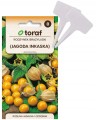 f45f247dc431ecf9b10b994c27a24023.jpg