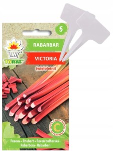 Nasiona Rabarbar VICTORIA + TABLICZKI do opisywania roślin