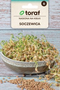 Nasiona na kiełki - SOCZEWICA / Witaminy: B1, B2, PP oraz karoten