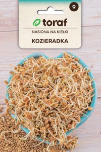 Nasiona na kiełki - KOZIERADKA / wspomaga trawienie pokarmów