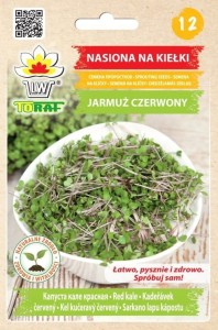 Nasiona na kiełki - JARMUŻ CZERWONY / witamina C , błonnik