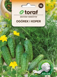 TAŚMA Zestaw warzyw - OGÓREK I KOPER- NASIONA + TABLICZKI do opisywania