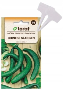 Nasiona Ogórek gruntowy CHINESE SLANGEN + TABLICZKI do opisywania