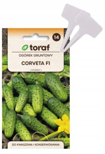 Nasiona Ogórek gruntowy CORVETA F1 do kwaszenia + TABLICZKI do opisywania