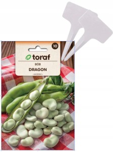 BÓB DRAGON ODMIANA WCZESNA 50 G TORAF + TABLICZKI do opisywania roślin