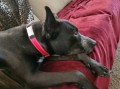 97ce66a15cf0060b217953097fbcf296.jpg