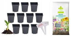 ZESTAW DONICZKA PRODUKCYJNA KWADRATOWA 9cm +ZIEMIA Z NAWILŻACZEM +TABLICZKI