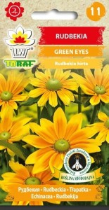 Rudbekia GREEN EYES NASIONA KWIATÓW