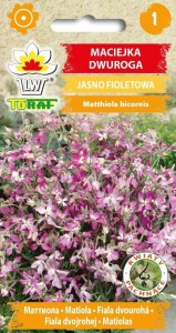 Maciejka dwuroga - jasno fioletowa NASIONA KWIATÓW