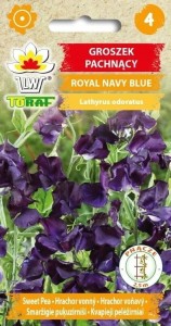 Groszek pachnący Royal Navy Blue NASIONA KWIATÓW