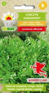 Lubczyk Ogrodowy NASIONA wieloletni AFRODYZJAK PRZYPRAWA LECZNICZY