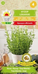 Hyzop Lekarski NASIONA AROMATYCZNY wieloletni na niestrawności, zaparcia
