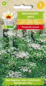 Biedrzeniec Anyż NASIONA AROMATYCZNA